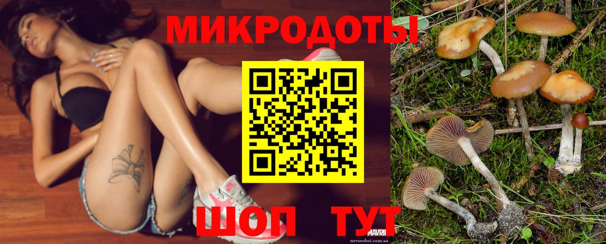 Галлюциногенные грибы прущие грибы  Вход с VPN  Галлюциногенные грибы мухоморы  Дмитров 