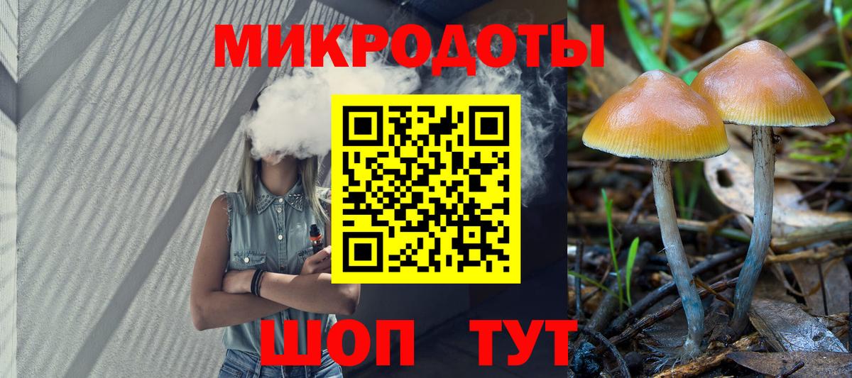 Галлюциногенные грибы Cubensis Дмитров